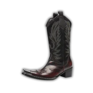 santiag cowboy homme